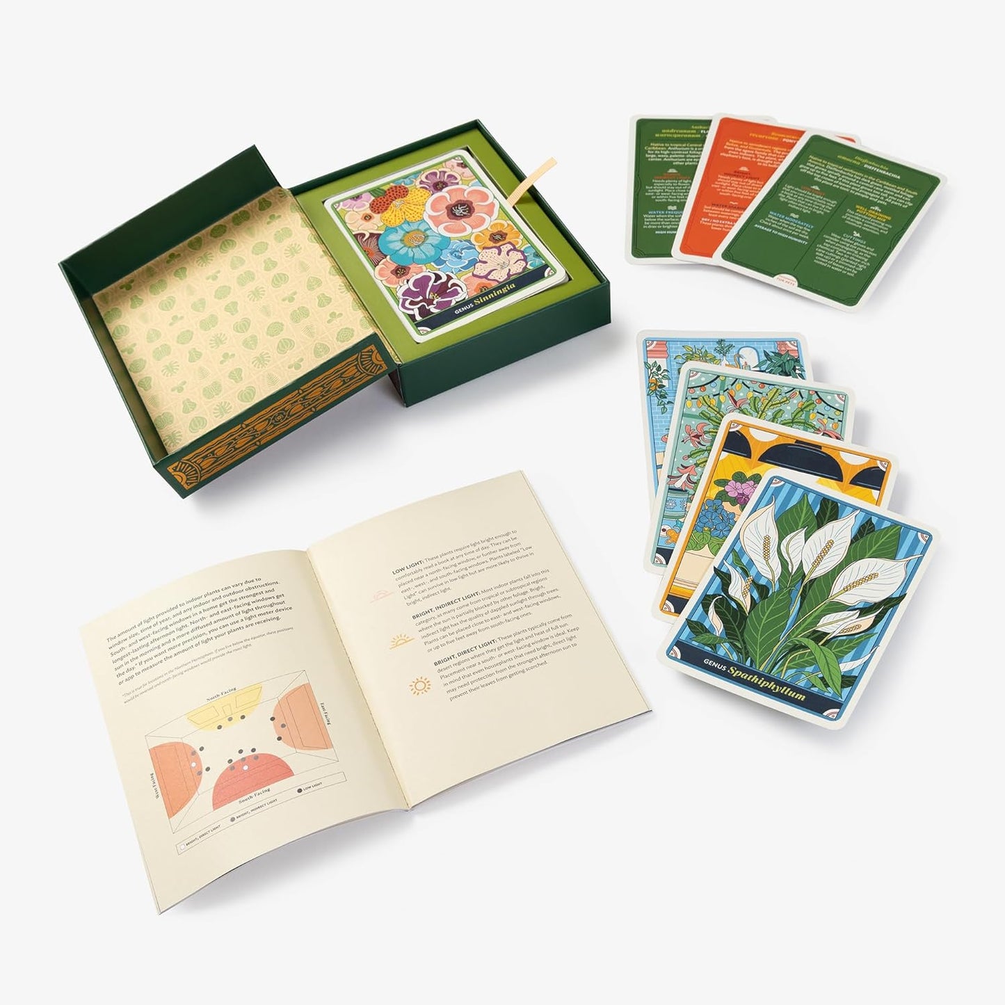 The Happy Houseplant Oracle Deck