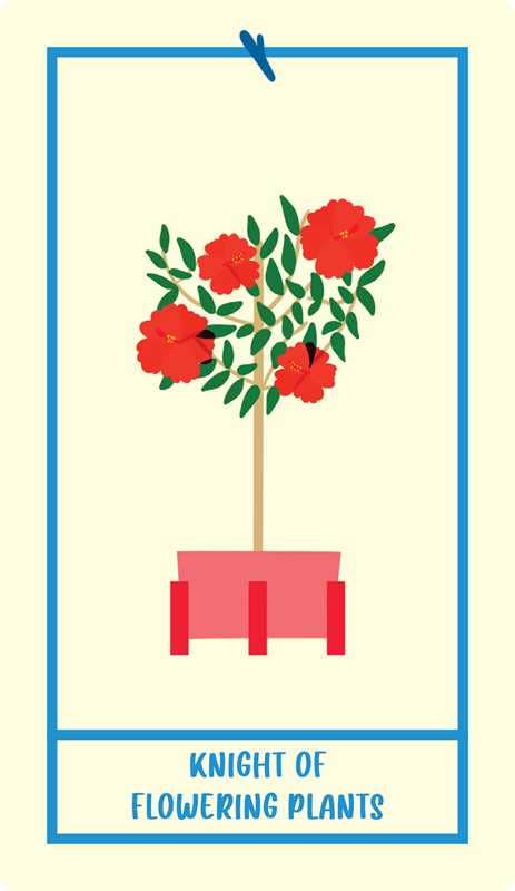 Houseplant Tarot